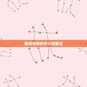 属相是猴的开公司取名，生肖属猴农历四月十五公司名字要怎么取
