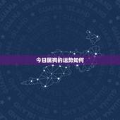 今日属狗的运势如何，属狗的财运明天怎么样