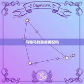 马和马的属相相配吗，属马跟属马的姻缘怎么样