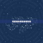 同属相的婚配都相刑吗，男属鼠女属兔相刑什么意思