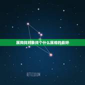 属狗找对象找个什么属相的最好，属相属狗的婚配什么属相最好