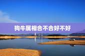 狗牛属相合不合好不好，属狗和属牛的合不合
