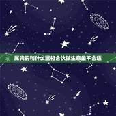 属狗的和什么属相合伙做生意最不合适，男人1981年属相和什么属相做生意