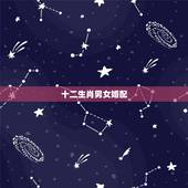 十二生肖男女婚配，男女找什么样的生肖配