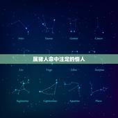 属猪人命中注定的情人，属猪83年今年婚姻离婚