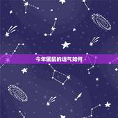 今年属鼠的运气如何，2022 今年鼠年的人命运如何