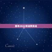 属羊2022年运势及运，属羊的2021年运势运程
