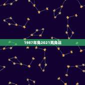 1987年兔2021男兔运，63年属兔人2021年运程怎样？