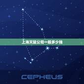 上海灭鼠公司一般多少钱，灭鼠公司怎么收费