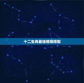 十二生肖最佳婚姻搭配，12属相婚配