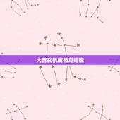 大有玄机属相龙婚配，属龙的跟什么属相婚配好