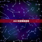 2021年放哪些属相，2003年属相在2021年运势会怎么样？