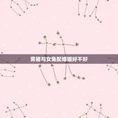 男猪与女兔配婚姻好不好，男猪女牛配婚姻好不好