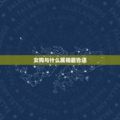 女狗与什么属相最合适，属狗的和什么属相合得来
