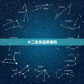 十二生肖运势准吗，生肖准吗