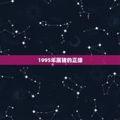 1995年属猪的正缘，1995年属猪人姻缘方向