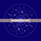 狗的属相今年运气如何，我是82年农历冬月二十九晚11点出生的女属狗在2