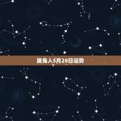 属兔人5月28日运势