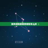 属狗女和属猪男婚配怎么样，属猪男和什么属相最配和属狗女配吗