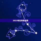 2023年生肖兔运势，属兔未来10年运势