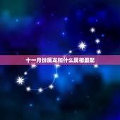 十一月份属龙和什么属相最配，生肖龙跟什么最配，属龙的属相婚配表