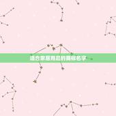 适合家居用品的商标名字，十大家居类的品牌，具体有哪些？