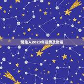 属兔人2023年运势及财运，属虎2022 年运势及运程每月运程