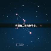 有没有二婚交友平台，相亲交友软件成功率大吗？二婚人士