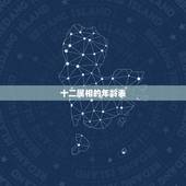 十二属相的年龄表，十二生肖男女更佳配对