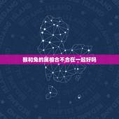 猴和兔的属相合不合在一起好吗，蛇和猴合不合