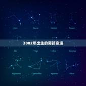 2002年出生的男孩命运，男 2002年阴历五月初五下午6点生 求生辰