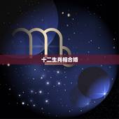 十二生肖相合婚，十二生肖中可以配对的是哪几对？