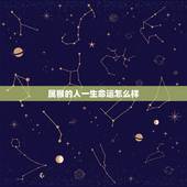 属猴的人一生命运怎么样，属猴的人的命运如何