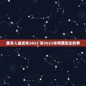 属羊人逢虎年2022 羊2022年将要发生的事