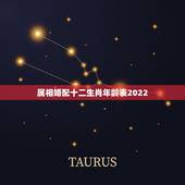 属相婚配十二生肖年龄表2022，十二生肖婚配:属相合婚配对表