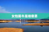 女怕属牛是啥意思，属虎男的和属牛女的在一起会幸福有结果吗