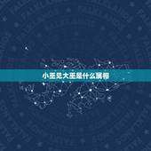 小巫见大巫是什么属相，小巫见大巫&amp;#8212;相形见绌.猜一生肖？