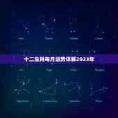 十二生肖每月运势详解2023年(12生肖2023年运势大介绍)