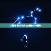 广西老表许华升结婚配的一首歌，许华升全部视频歌曲