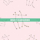 属兔的今日运程运势查询，属兔今天运气
