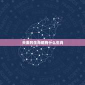 夫妻的生肖都有什么生肖，哪些生肖属夫妻肖