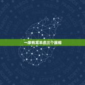 一家有龙羊虎三个属相，男属虎女属羊婚姻如何