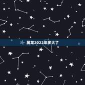 属龙2022年多大了，龙肖2022 年每月运程