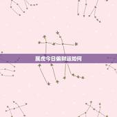 属虎今日偏财运如何，属虎人明日运势如何