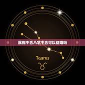 属相不合八字不合可以结婚吗，八字不合真的不能结婚吗？