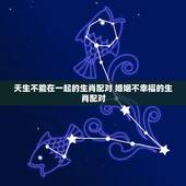 天生不能在一起的生肖配对 婚姻不幸福的生肖配对