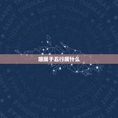 珊属于五行属什么，珊字的五行属什么