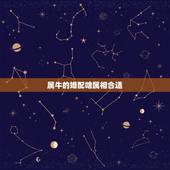 属牛的婚配啥属相合适，属牛的和什么属相最配