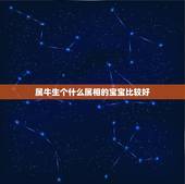 属牛生个什么属相的宝宝比较好，属牛的生什么生肖的孩子好