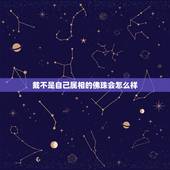 戴不是自己属相的佛珠会怎么样，佛珠能不能随便戴
